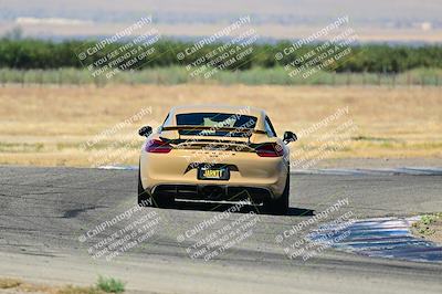 media/Jul-27-2024-Speed Ventures (Sat) [[14cea0cda4]]/Black/Grapevine 1035am/